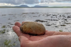 hammerstone-on-the-shore