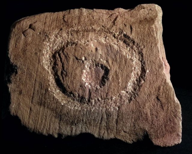 The 'Brodgar Eye' cup-and-ring stone, found in Structure Ten in 2010. The design is one of the few non-linear motifs found on site. (📷 Antonia Thomas)
. 
#Neolithic #OrkneyIslands #Orkney #VisitOrkney #Prehistoric #Prehistory #Ancient #Archaeology #Archeology #Archaeologist #NessOfBrodgar #megalithic #stenness #excavation #ancientworld #HeartOfNeolithicOrkney #history #ArchaeologicalSite #BritishArchaeology #ArchaeologyLife #lovescotland #scotland #ScottishArchaeology #ScottishIslands #ScottishHistory #HistoricScotland #igscotland #VisitScotland