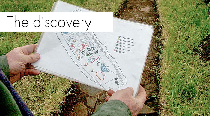 The discovery of the Ness complex