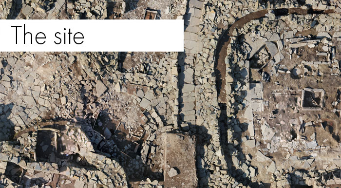 About the Site