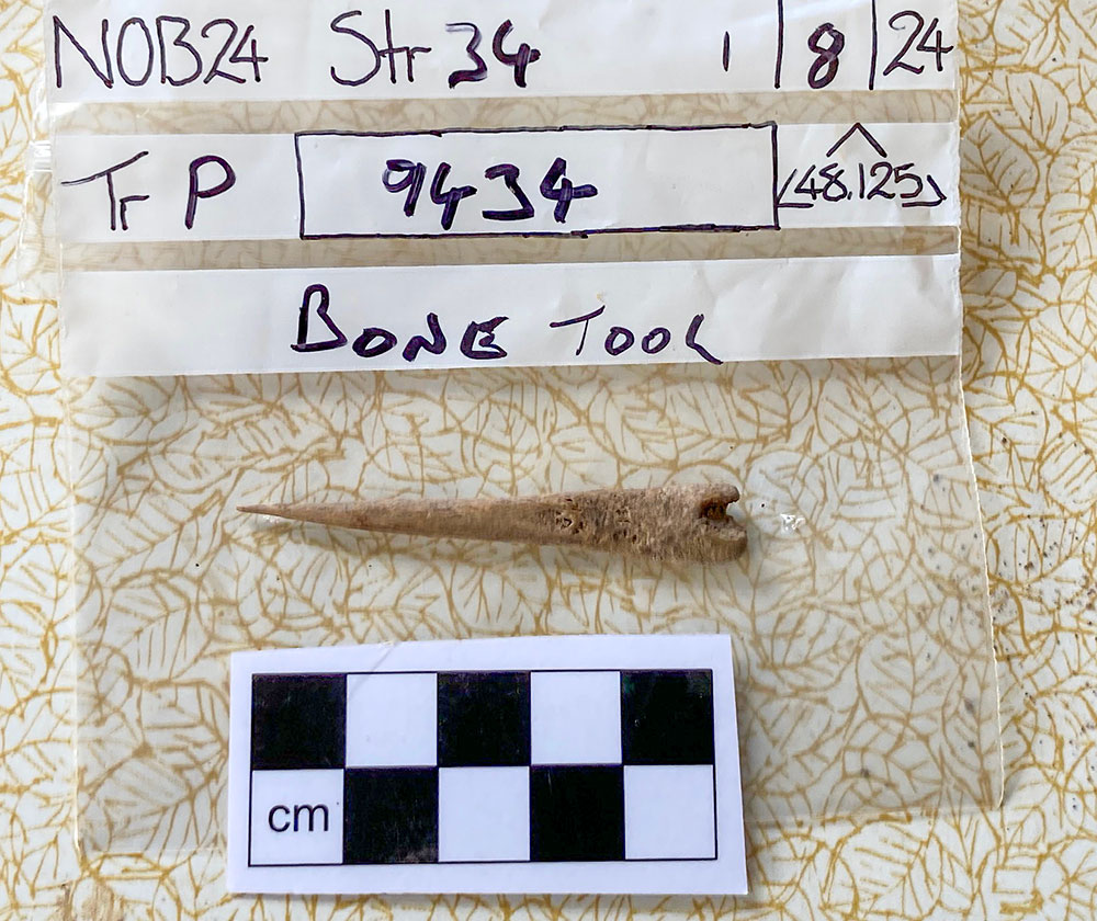 2024's top finds - worked bone - The Ness of Brodgar Project