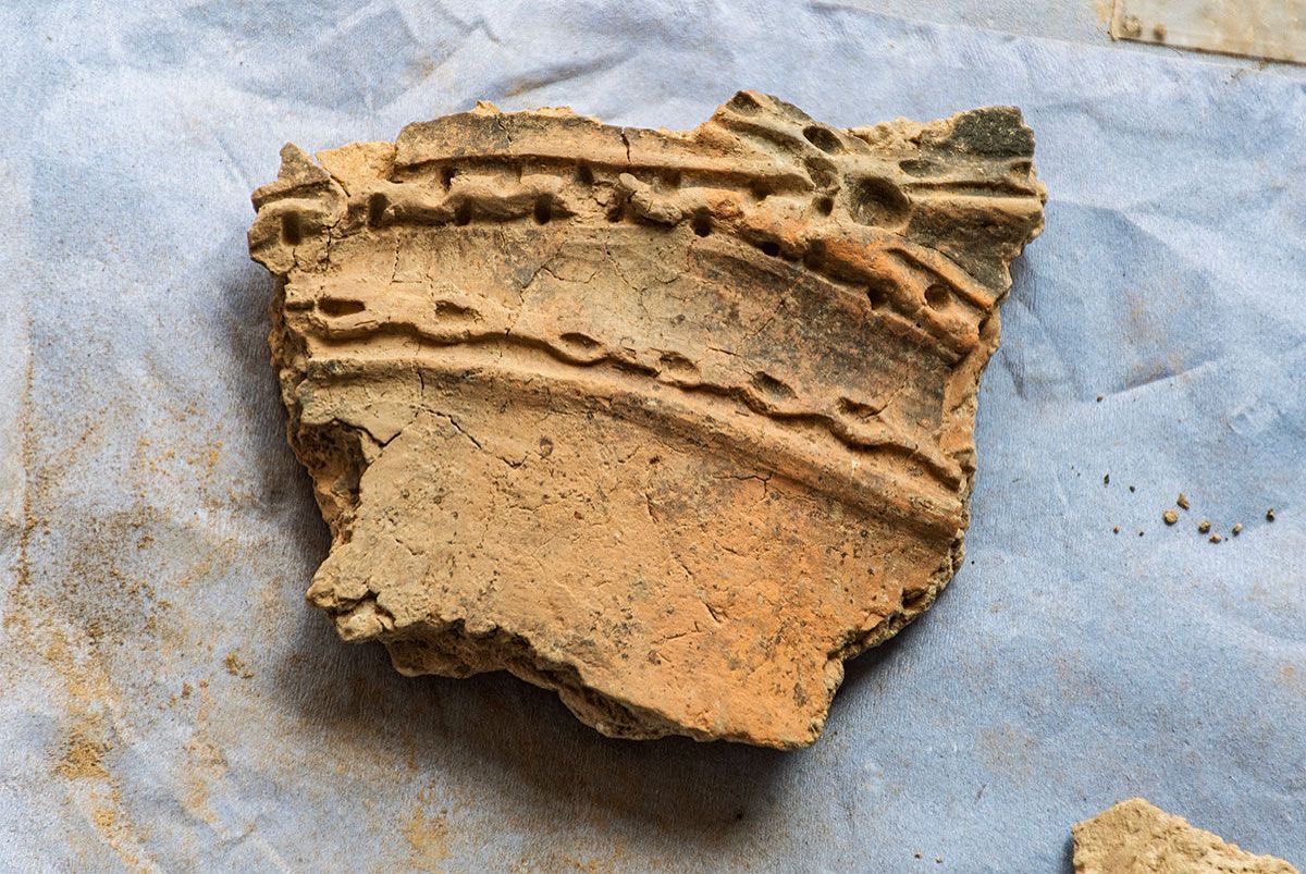 A beautiful sherd of delicately decorated Neolithic pottery catalogued and cleaned today during our ongoing pottery triage project. (📷 Sigurd Towrie)
.
#Neolithic #OrkneyIslands #Orkney #VisitOrkney #Prehistoric #Prehistory #Archaeology #Archeology #Archaeologist #NessOfBrodgar #megalithic #stenness #excavation #HeartOfNeolithicOrkney #BritishArchaeology #ArchaeologyLife #scotland #ScottishArchaeology
