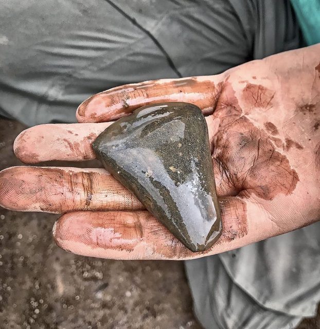 2019: A small polished stone axe from the midden layers above Structure Twenty-Seven. (📷 Sigurd Towrie)
. 
.
#Neolithic #OrkneyIslands #Orkney #VisitOrkney #Prehistoric #Prehistory #Archaeology #Archeology #Archaeologist #NessOfBrodgar #megalithic #stenness #excavation #HeartOfNeolithicOrkney #BritishArchaeology #ArchaeologyLife #scotland #ScottishArchaeology