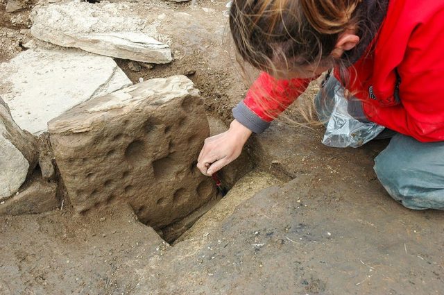 Dr Antonia Thomas, of the UHI Archaeology Institute, working on a cupmarked stone emerging from the interior of Structure Ten. (📷 ORCA)
.
#Neolithic #OrkneyIslands #Orkney #VisitOrkney #Prehistoric #Prehistory #Archaeology #Archeology #Archaeologist #NessOfBrodgar #megalithic #stenness #excavation #HeartOfNeolithicOrkney #BritishArchaeology #ArchaeologyLife #scotland #ScottishArchaeolog