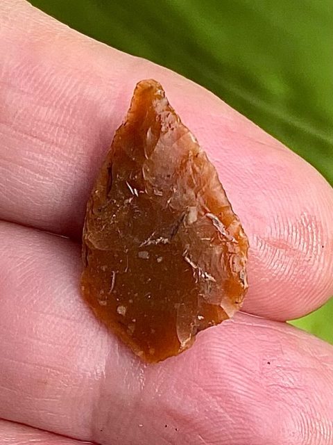 Our first major find (by yours truly) a beautiful little Early Neolithic leaf arrowhead. (📷 Sigurd Towrie)
#Archaeology #excavation #nessofbrodgar #orkney #timeteam