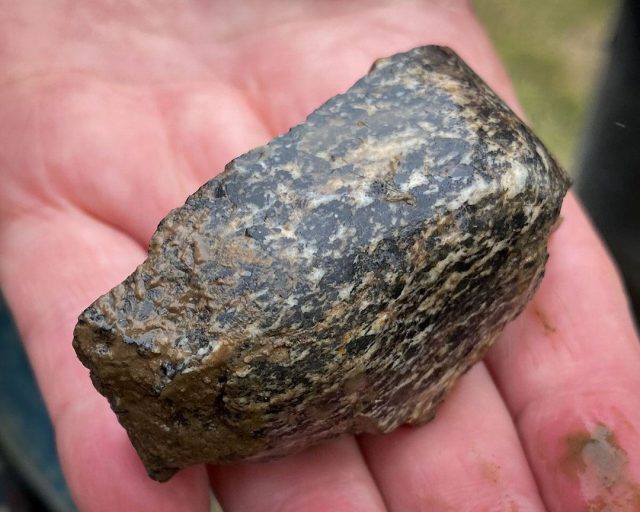 A worked fragment of Lewisian gneiss from the north-western quadrant today. Several of our polished stone artefacts, especially maceheads, were crafted from this material - found only on the north‑west coast of Scotland and Western Isles. Today’s fragment, however, had taken quite a beating. Although unmistakably gneiss, whatever form it was meant to take never reached completion.